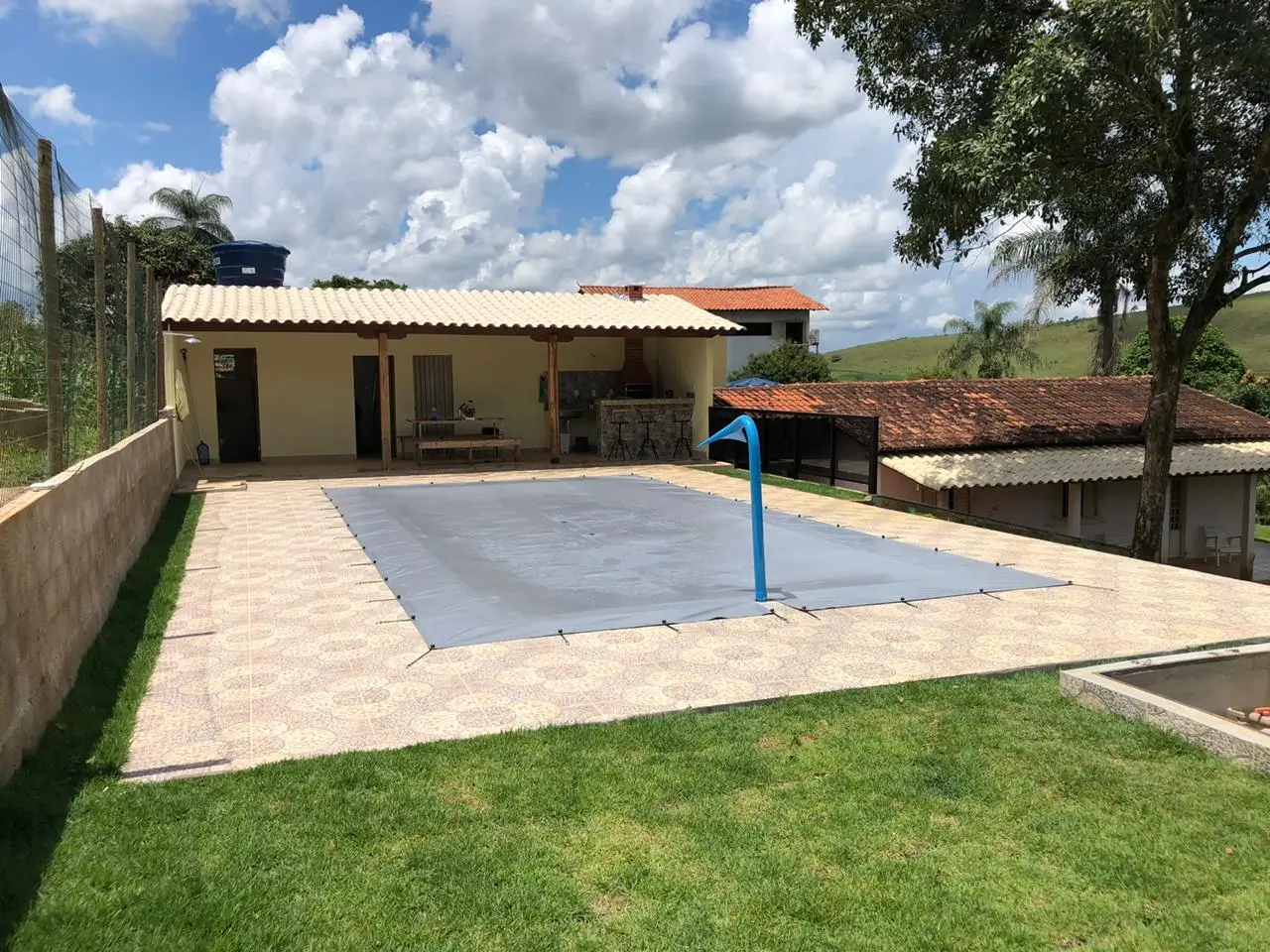 fortal robusta cinza